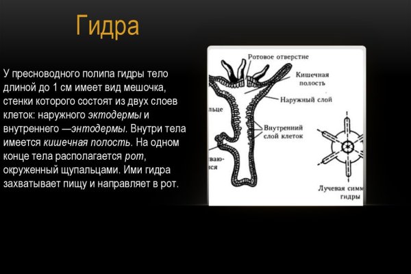 Kraken официальные зеркала