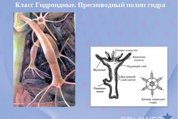 Как найти кракен в торе